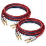 AutCreation HiFi OFC Speaker Wire,Speaker Cable with Banana Plugs,Banana Plugs to Banana Plugs,12AWG,Red/Blue (3M(9.8ft))