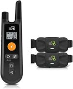 DOG CARE Dog Training Collar - Rechargeable Dog Shock Collar with Beep Vibration Shock Training Modes, Rainproof Receiver, Large Remote Range, 2 Receivers Dog Training Collar with Remote
