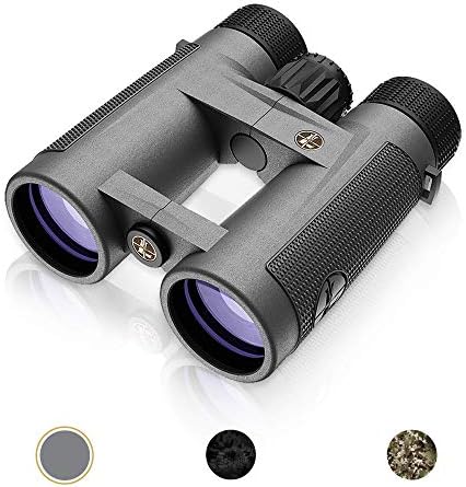 Leupold BX-4 Pro Guide HD Binoculars, 10x42mm, Shadow Gray (172666)