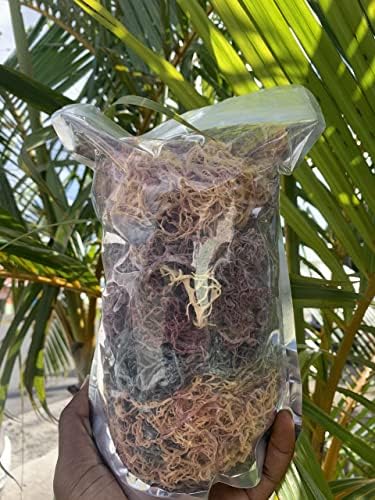 MG Windward Trading LLC Full Spectrum Organic Wild Harvested Sea Moss from St. Lucia | Wild Harvested Powerful Antioxidants, Vitamins, Minerals and Nutrients All Natural, 4 Ounce