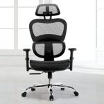 Ergonomic Chair, High Back Executive Desk Chair, Modern Office Chair with Lumbar Support, Breathable Mesh Chair, with 3D Adjustable Armrests,Headrest and Lumbar Support,SteelBlack