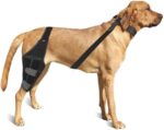 Liangmall Dog Knee Brace for Torn ACL Hind Leg - Adjustable Rear Leg Braces for Dogs with Collar & Side Stabilizers, Strong Support to Reduce Joint Pain and Muscle Sore (Size: L)