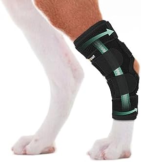 Lyderpet Dog Rear Leg Brace for Hock Joint, Compression Wrap Strong Support Back Leg for Canine Torn ACL & CCL, Injury and Sprain Protection, Keeps Stability for Wounds Care and Arthritis (XS)