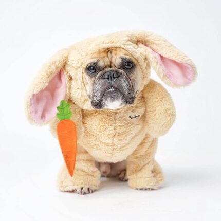 Pandaloon Dog and Pet Costume Set - AS SEEN ON Shark Tank - Walking Teddy Bear with Arms (Bunny, Size 5(24-28 in Height at TOP of Head,Girth