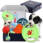 Pure Pawsitive Puppy Essentials Starter Kit - Dog Gift Box - Dog Birthday Gift Basket and Chew Toys Perfect for Welcoming Your New Puppy, or Get Well Gift