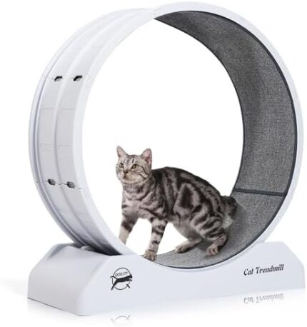 QOILITY Cat Exercise Wheel, Easy to Install Cat Wheels for Indoor Cats Fitness & Health, Suitable for Most Cats, Gray