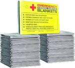 RAYWER (4 Pack Emergency Thermal Survival Blankets, Mylar Blankets for Outdoor, Camping, Hiking, Survival, Large Silver Thermal Sheets, Heavy Duty Gear (4 pcs, Size 84x52)