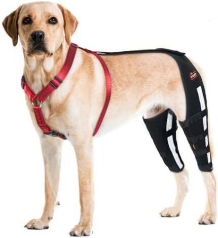 RISURRY Dog Knee Brace with Detachable Dog Chest Harness for Luxating Patella,Torn ACL,Arthritis,Cruciate Ligament,Support Brace for Dog Hind Leg Brace(Both Leg,L)