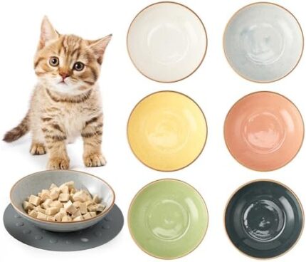 SIDUCAL Ceramic Cat Bowl, 5.5 Inches Cat Dishes 6 PCS for Indoor Cats, Cat Food Bowl with Silicone Non-Slip Mat, 7 Oz Whisker Fatigue Free Cat Plate, Dishwasher Safe (6 Colors Set)