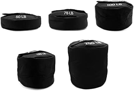 Shogun Sports Training Sandbag, Heavy Duty Workout Sandbags for Heavy Training, Fitness, Military Conditioning, Cross-Training & Strength Training. Heavy Sandbag Weights.