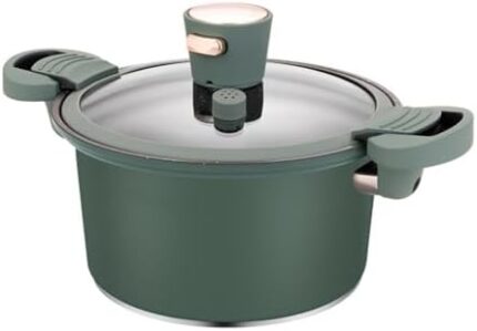DNATS Stainless Steel Household Micro Pressure Cooker Stone Color Safety Is Not Sticky Soup Pot