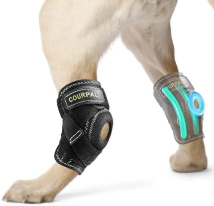 Dog Back Leg Brace for Hock & Ankle, Dog Rear Leg ACL & CCL Tear Brace for Support, Canine Hind Leg Joint Compression Wrap for Arthritis, Wound Recovery, Sprain Protection, Enhanced Old Dog Stability