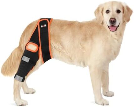 Dog Knee Brace Leg Braces with Side Stabilizers for Dogs Support for Torn ACL CCL Hind Leg, Knee Cap Dislocation, Cruciate Ligament Injuries, Patella Dislocation or Osteoarthritis