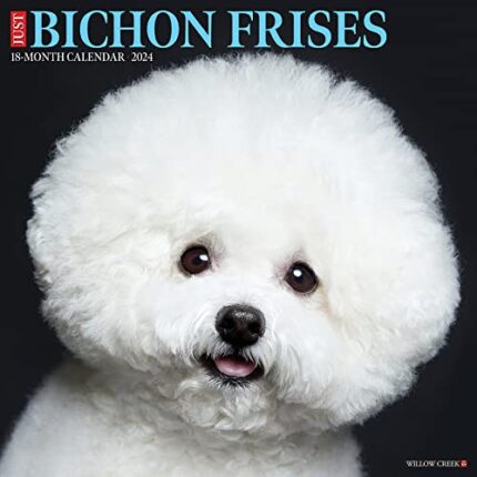 Just Bichons Frises 2024 Calendar