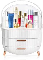 MASSY Egg Shape(Oval) Makeup Storage Box, Countertop Portable Vanity Cosmetics Organizer Preppy