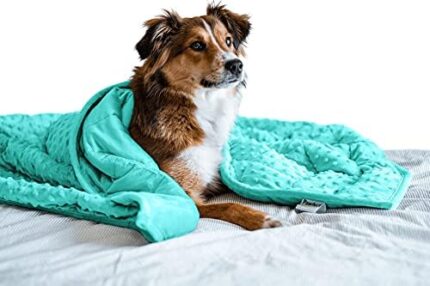 Nappy Puppy - Weighted Dog Blanket | Specially Designed for Anxious Dogs | Extra Comfortable | Premium Minky Fabric | Hypoallergenic Glass Beads | Aqua | Medium 4 lb