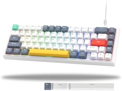 XVX 60% Percent Keyboard, V-K66 Mechanical Gaming Keyboard Gasket Mounted, Wired LED Backlit Creamy Keyboard with Arrow Keys - White and Grey