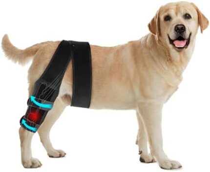 Xylitic Dog Knee Brace, Acl Knee Brace for Dogs Hind Leg with Cruciate Ligament Injury,Joint Pain and Muscle Sore,Adjustable Dog Rear Leg Brace Support for Patella Dislocation,Pet Knee Brace (Medium)