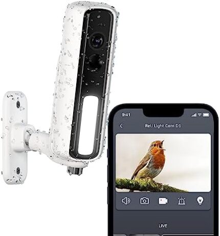 RELI Security Camera Wireless Outdoor Light Cam D1, 5-Months Battery Life, 1080P Color Night Vision, Smart Cameras with Spotlight for Home & Multiple Scenarios, Motion Detection, SD/Cloud Storage